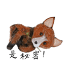 Foxy Valentine（個別スタンプ：4）