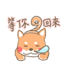 ShibaInu's Love（個別スタンプ：20）