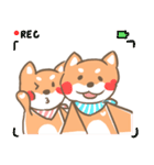 ShibaInu's Love（個別スタンプ：26）