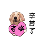 Canis lupus familiaris<dachshund>（個別スタンプ：5）