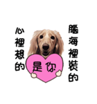 Canis lupus familiaris<dachshund>（個別スタンプ：18）