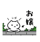 ojouSticker(40)（個別スタンプ：12）