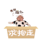 Tang Tong's daily2（個別スタンプ：36）