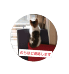 はじめまして、あずきです。（個別スタンプ：7）