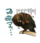 My Cute Conures2 - with his servants（個別スタンプ：13）
