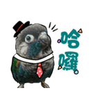 My Cute Conures2 - with his servants（個別スタンプ：17）