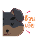 Dober Funny Dog（個別スタンプ：10）