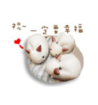 Happy dessert greetings3(Chinese)（個別スタンプ：11）