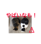 名古屋弁cats（個別スタンプ：22）