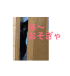 名古屋弁cats（個別スタンプ：25）