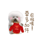 Bichon Frise is so cute（個別スタンプ：4）