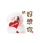 Bichon Frise is so cute（個別スタンプ：9）