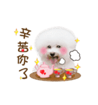 Bichon Frise is so cute（個別スタンプ：10）