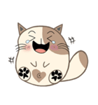 Mee Tang Fat Cat（個別スタンプ：21）