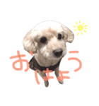 lovely my dog.（個別スタンプ：1）