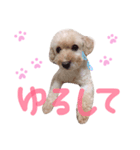 lovely my dog.（個別スタンプ：6）