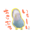 はむちゃん(インコ)（個別スタンプ：13）