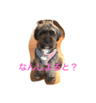 愛犬長崎弁バージョン（個別スタンプ：3）