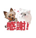 <Kawaii>Dog's Sticker winter ver.1（個別スタンプ：2）