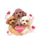 <Kawaii>Dog's Sticker winter ver.1（個別スタンプ：8）