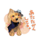 <Kawaii>Dog's Sticker winter ver.1（個別スタンプ：10）