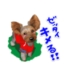 <Kawaii>Dog's Sticker winter ver.1（個別スタンプ：11）