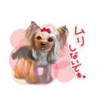 <Kawaii>Dog's Sticker winter ver.1（個別スタンプ：12）