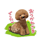 <Kawaii>Dog's Sticker winter ver.1（個別スタンプ：20）