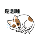 A dog with a big point on her butt（個別スタンプ：1）