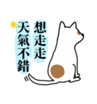 A dog with a big point on her butt（個別スタンプ：8）