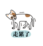 A dog with a big point on her butt（個別スタンプ：11）