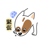 A dog with a big point on her butt（個別スタンプ：17）