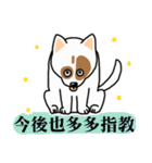A dog with a big point on her butt（個別スタンプ：24）