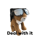 Mokchai the mountain lion 2（個別スタンプ：2）
