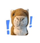Mokchai the mountain lion 2（個別スタンプ：3）