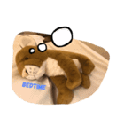 Mokchai the mountain lion 2（個別スタンプ：7）