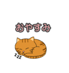 まん丸ねこ（個別スタンプ：17）