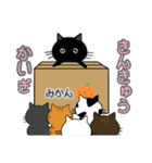 まん丸ねこ（個別スタンプ：21）