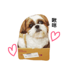 titi＆coco（個別スタンプ：1）