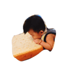 test-ss（個別スタンプ：8）