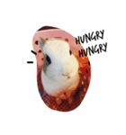 rabbit (milk tea)（個別スタンプ：2）