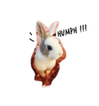 rabbit (milk tea)（個別スタンプ：5）