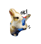 rabbit (milk tea)（個別スタンプ：8）