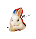 rabbit (milk tea)（個別スタンプ：12）