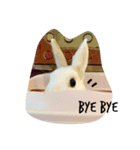 rabbit (milk tea)（個別スタンプ：14）