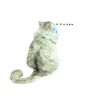 Vanessa's Cats（個別スタンプ：7）