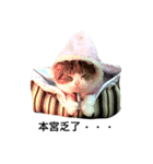 Vanessa's Cats（個別スタンプ：10）