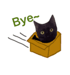 Vanessa's Cats（個別スタンプ：18）