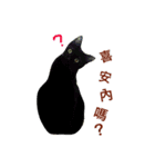 Vanessa's Cats（個別スタンプ：24）