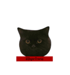 catbeam（個別スタンプ：2）